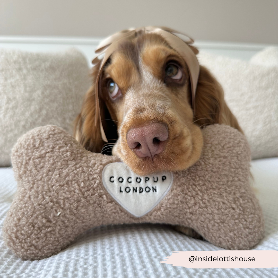 Cocopup London - Teddy Rupert Bone Toy