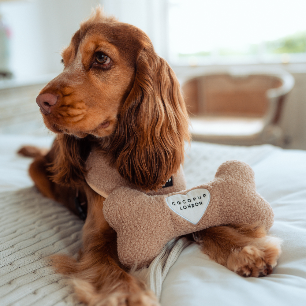 Cocopup London - Teddy Rupert Bone Toy