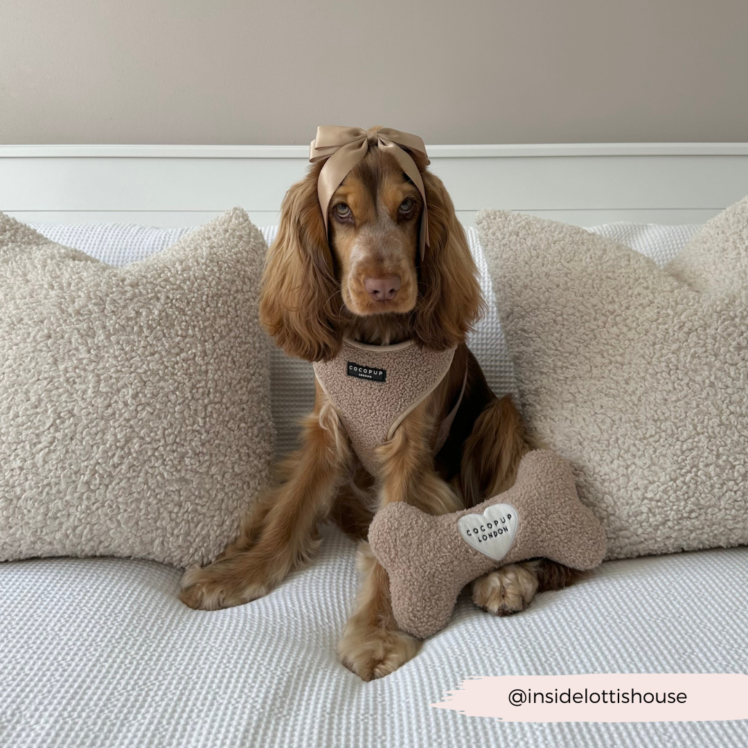 Cocopup London - Teddy Rupert Bone Toy