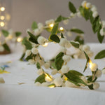 Melanie Porter Mistletoe Fairy Light String 2m