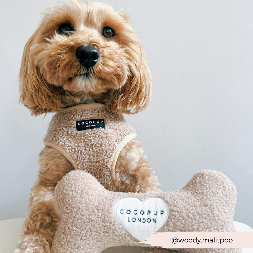 Cocopup London - Teddy Rupert Bone Toy