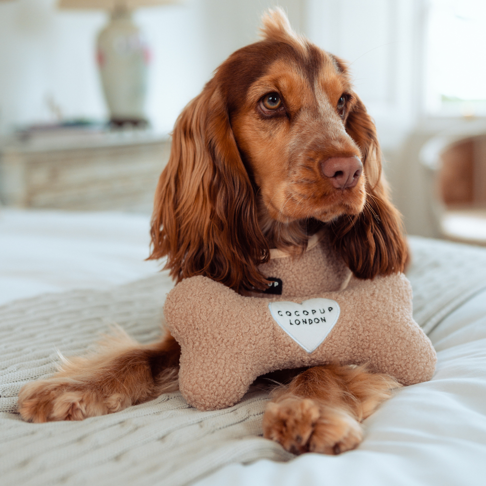 Cocopup London - Teddy Rupert Bone Toy