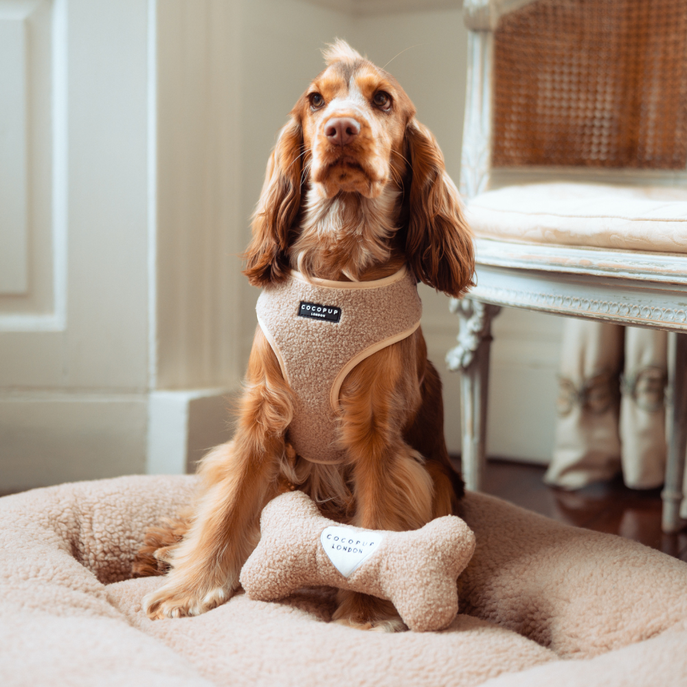 Cocopup London - Teddy Rupert Bone Toy