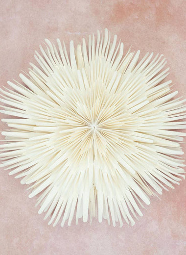 Giant Sunburst White Paper Wall Decoration - 60cm