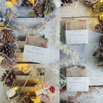 Bliss Botanicals Frost Fairy Soap Slice